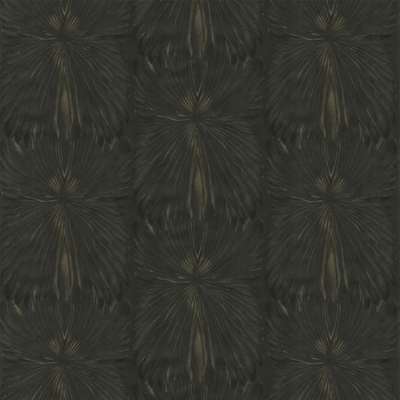 Roberto Cavalli Roberto Cavalli 8 RC19006