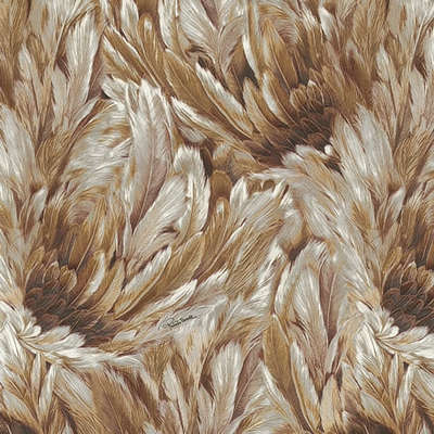 Roberto Cavalli Roberto Cavalli 9 RC21009