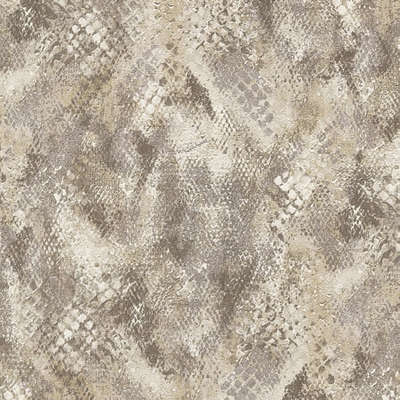 Roberto Cavalli Roberto Cavalli 9 RC21054