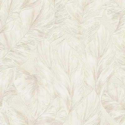Roberto Cavalli Roberto Cavalli 9 RC21072