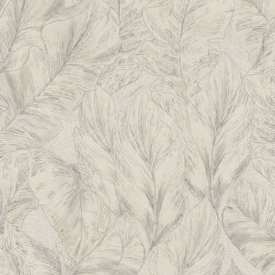 Roberto Cavalli Roberto Cavalli 9 RC21074