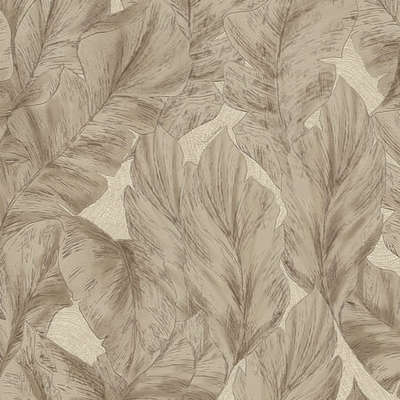 Roberto Cavalli Roberto Cavalli 9 RC21076