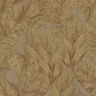 Roberto Cavalli Roberto Cavalli 9 RC21079