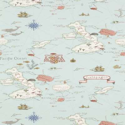 Sanderson Voyage of Discovery 213364