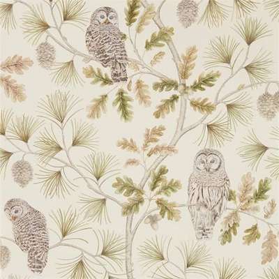 Sanderson Elysian DYSI216597
