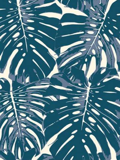 Seabrook Tortuga TA20002