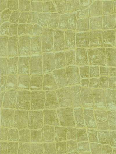 Seabrook Tortuga TA20504