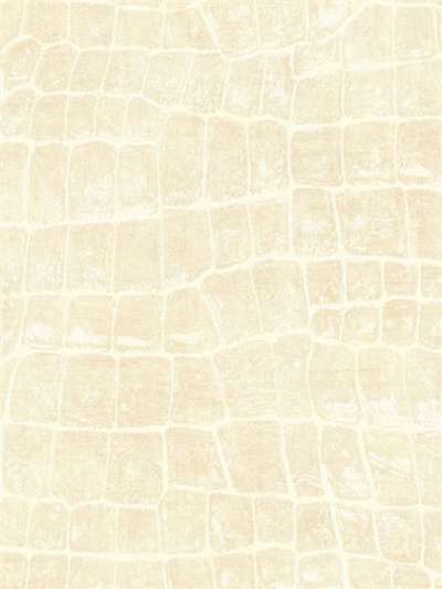Seabrook Tortuga TA20505