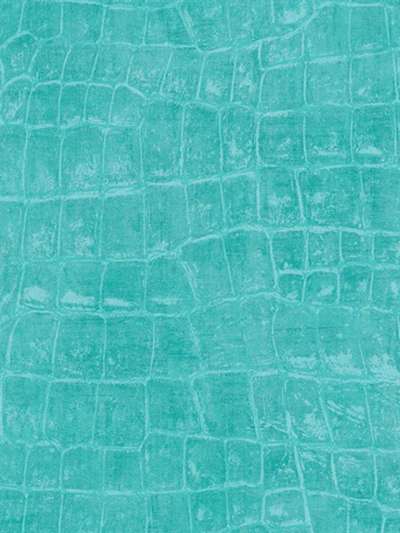 Seabrook Tortuga TA20512