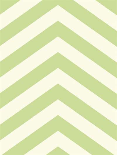 Seabrook Tortuga TA20604
