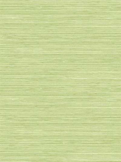 Seabrook Tortuga TA21704