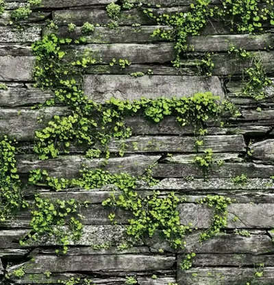 Shinhan Wallcoverings Natural 87029-1