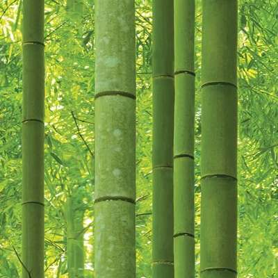 Shinhan Wallcoverings Natural 88423-1