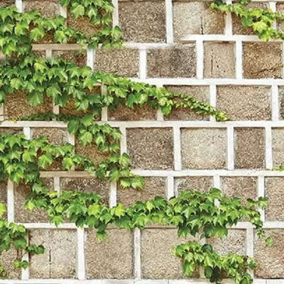 Shinhan Wallcoverings Natural 88428-1