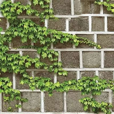 Shinhan Wallcoverings Natural 88428-2