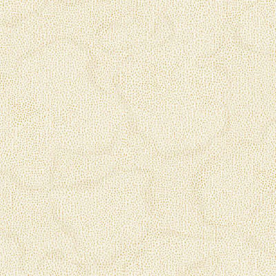 Gaenari Velour 81099-4