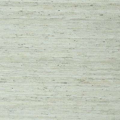 Thibaut Greenwood T85003