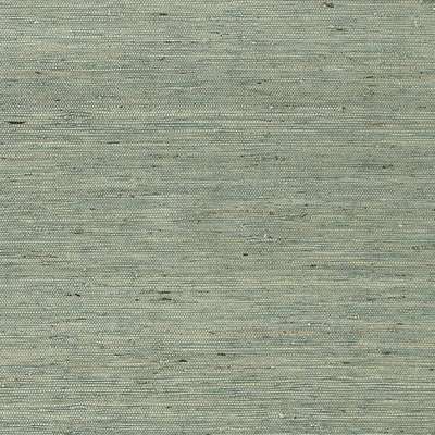 Thibaut Greenwood T85004