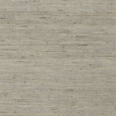 Thibaut Greenwood T85005