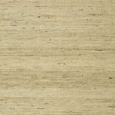 Thibaut Greenwood T85006