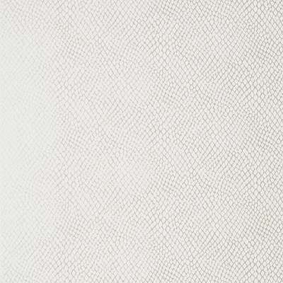 Thibaut Greenwood T85066