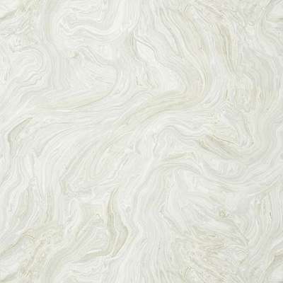 Thibaut Greenwood T85072