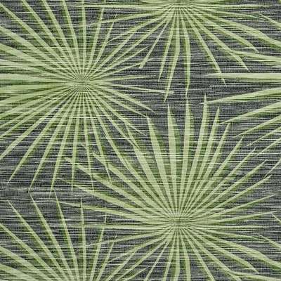 Thibaut Tropics Palm Frond T10143