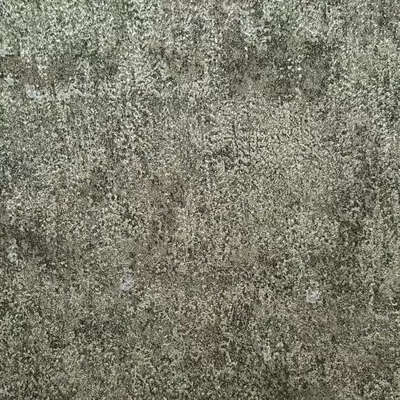 Wiganford Crystal АК20801