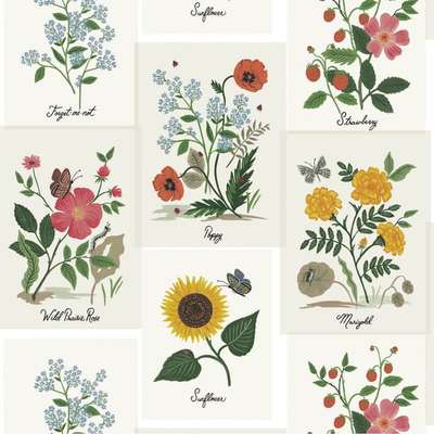 York Rifle Paper Co. Second Edition RP7334