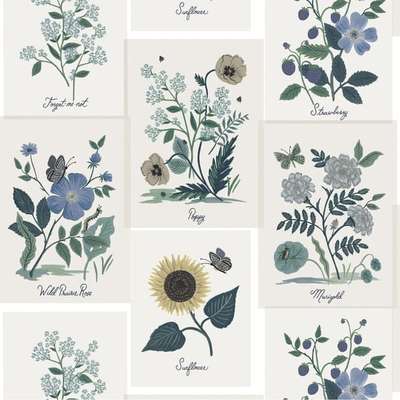 York Rifle Paper Co. Second Edition RP7335