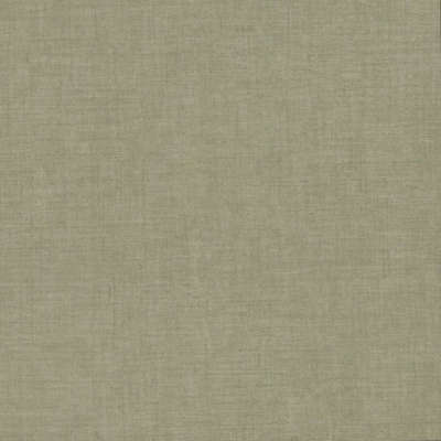 York Tropics Resource Library 5974