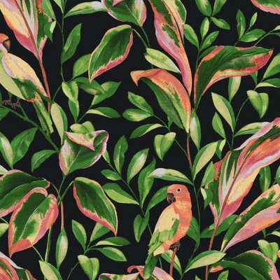 York Tropics Resource Library TC2651